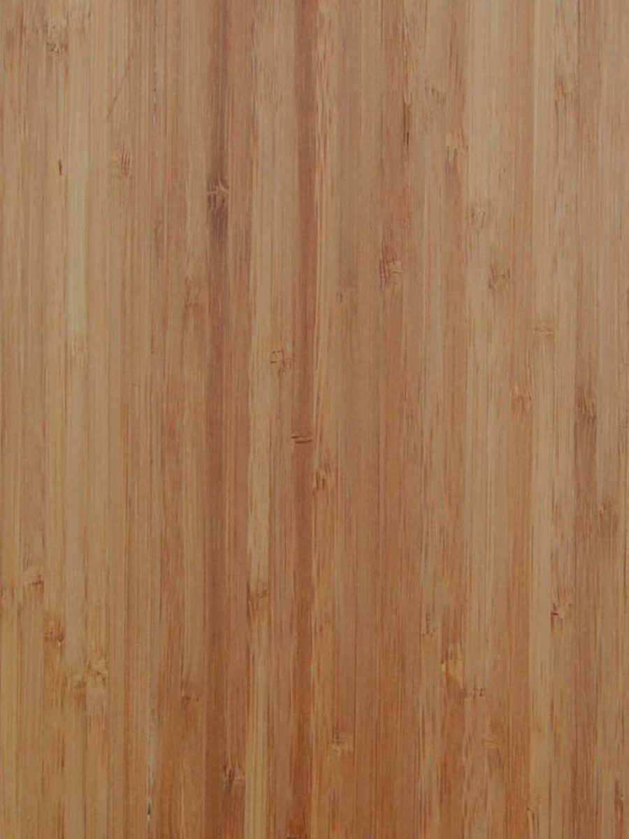 Bamboo